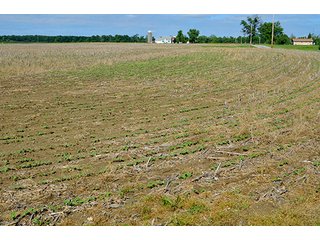 Property photo 16 - FARM & LAND AUCTION - 125+/- ACRES OFFERED IN 5 TRACTS IN EAST ALLEN COUNTY, INDIANA